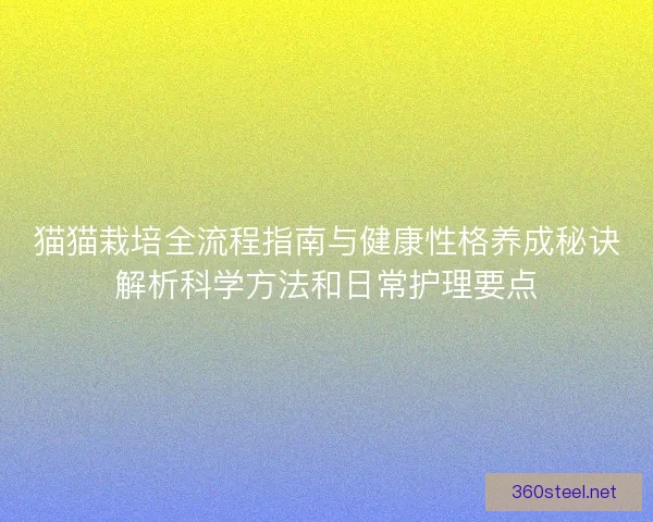 猫猫栽培全流程指南与健康性格养成秘诀解析科学方法和日常护理要点